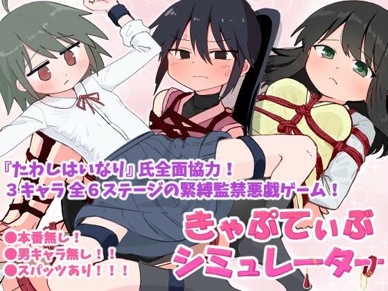 きゃぷてぃぶシミュレーター